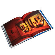 Isaac Julien signed limited edition exhibition book